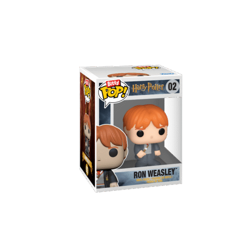 Funko – Ron And Hermione – Harry Potter 2-pack