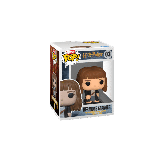 Funko – Ron And Hermione – Harry Potter 2-pack